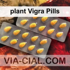 plant Vigra Pills 346