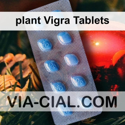 plant Vigra Tablets 425