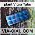 plant_Vigra_Tabs_092.jpg