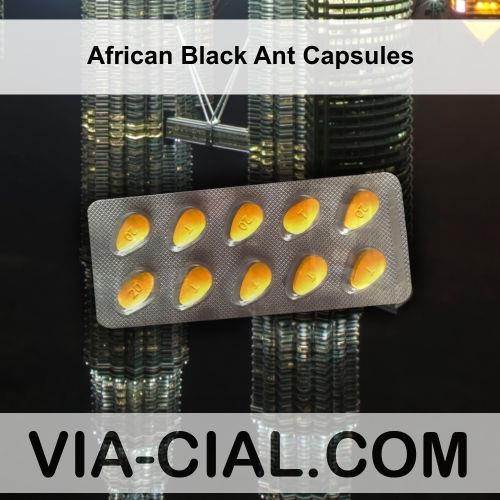 African_Black_Ant_Capsules_975.jpg