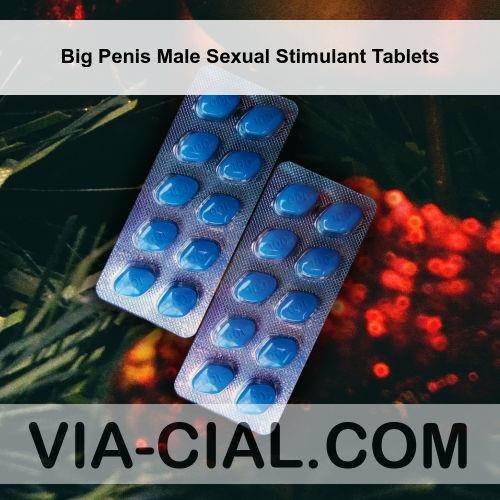 Big_Penis_Male_Sexual_Stimulant_Tablets_114.jpg