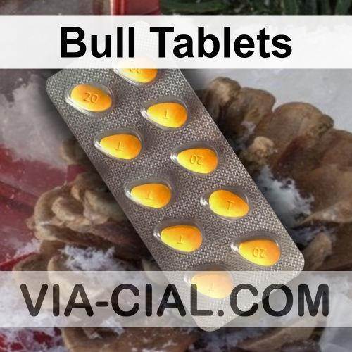 Bull_Tablets_237.jpg