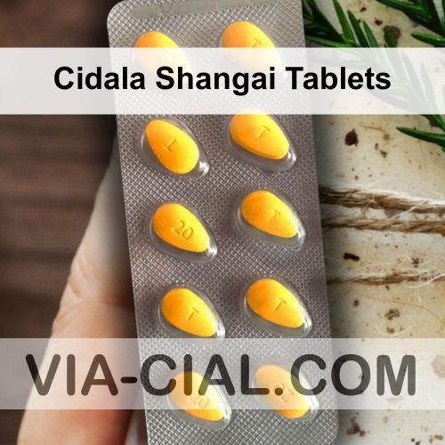 Cidala_Shangai_Tablets_318.jpg