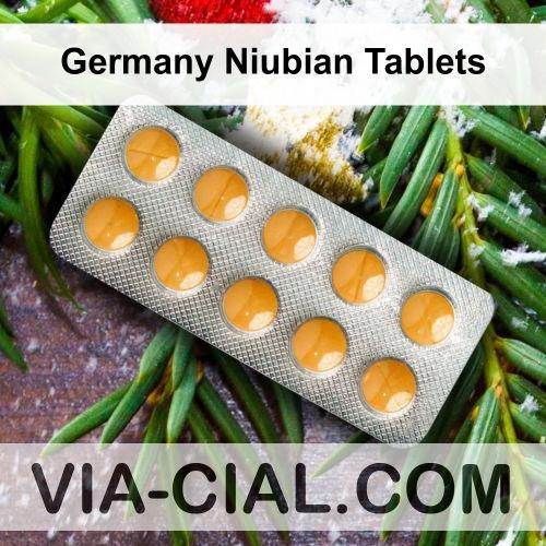 Germany_Niubian_Tablets_937.jpg