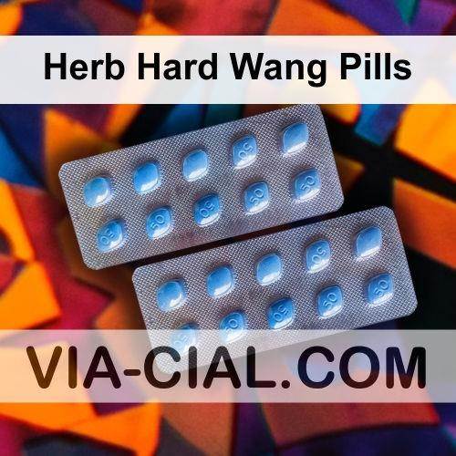 Herb_Hard_Wang_Pills_121.jpg