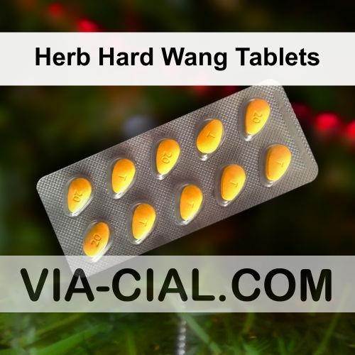 Herb_Hard_Wang_Tablets_709.jpg