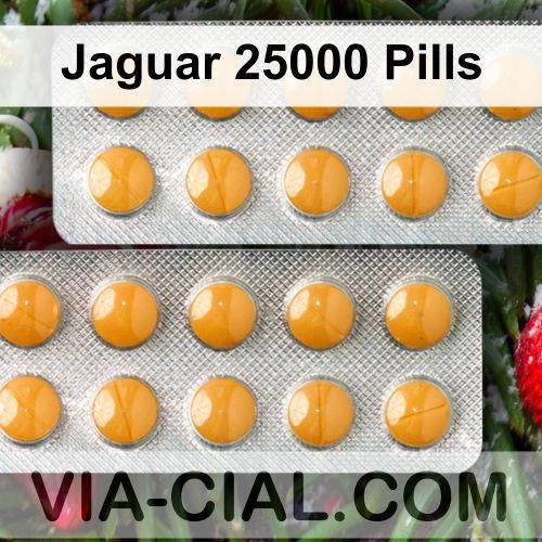 Jaguar_25000_Pills_672.jpg