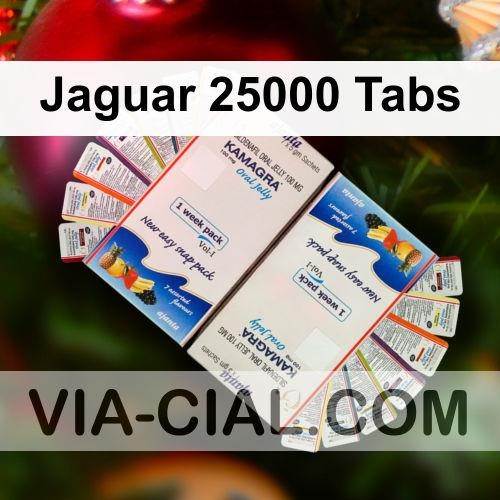 Jaguar_25000_Tabs_912.jpg
