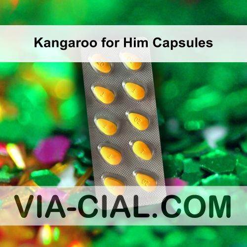 Kangaroo_for_Him_Capsules_194.jpg