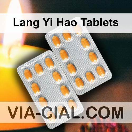 Lang_Yi_Hao_Tablets_432.jpg