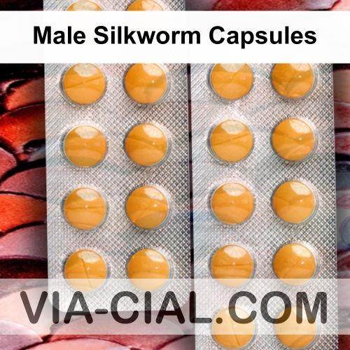 Male_Silkworm_Capsules_393.jpg