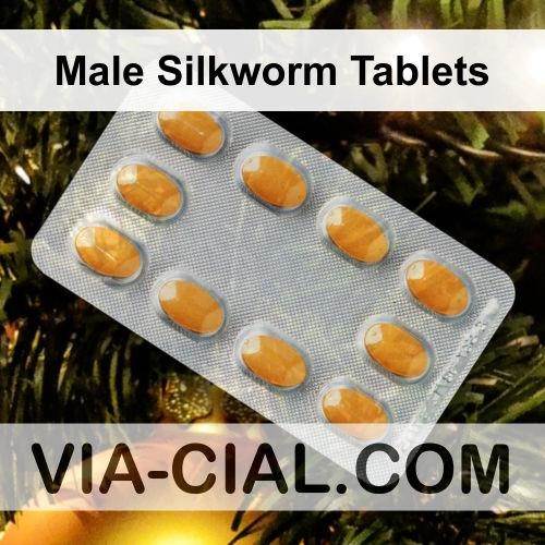 Male_Silkworm_Tablets_308.jpg