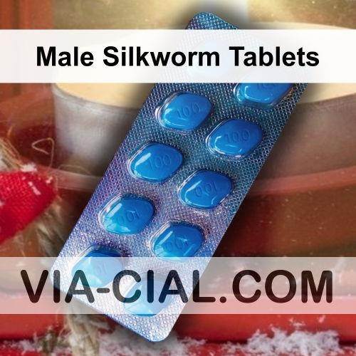 Male_Silkworm_Tablets_707.jpg