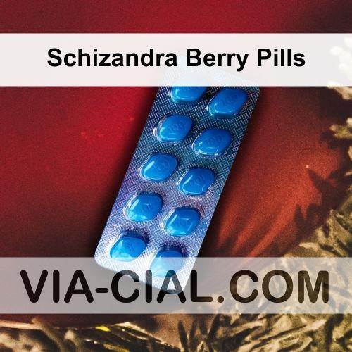 Schizandra_Berry_Pills_298.jpg