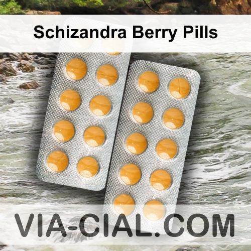 Schizandra Berry Pills 604