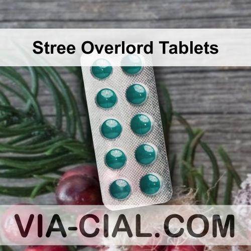 Stree_Overlord_Tablets_373.jpg